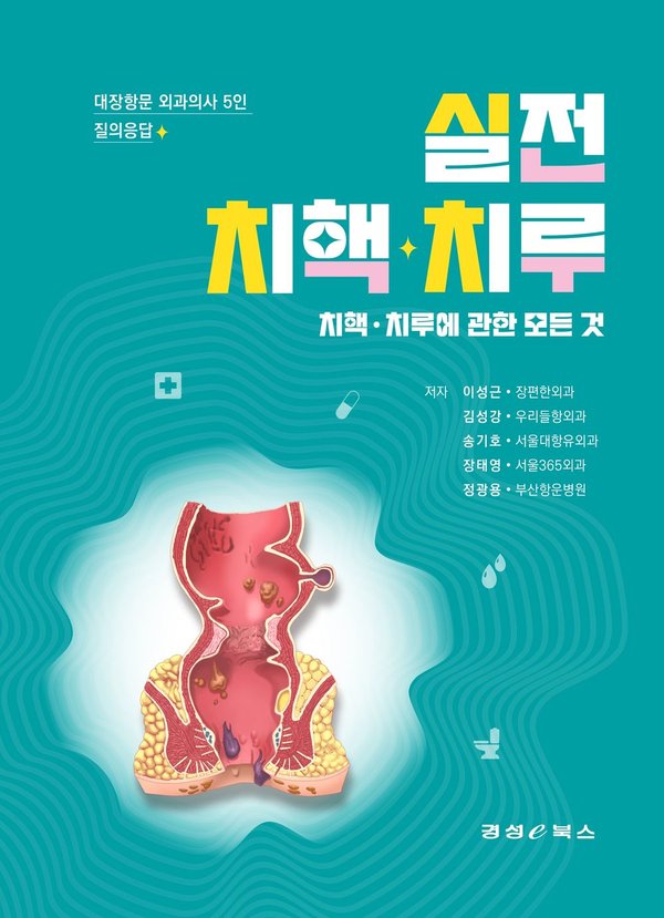 실전 치핵, 치루 표지